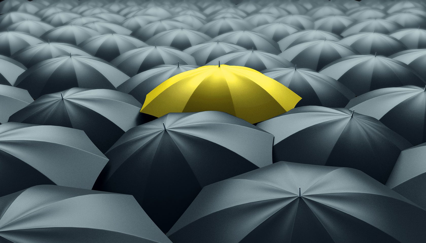 Lone yellow umbrella surrounded by black umbrellas